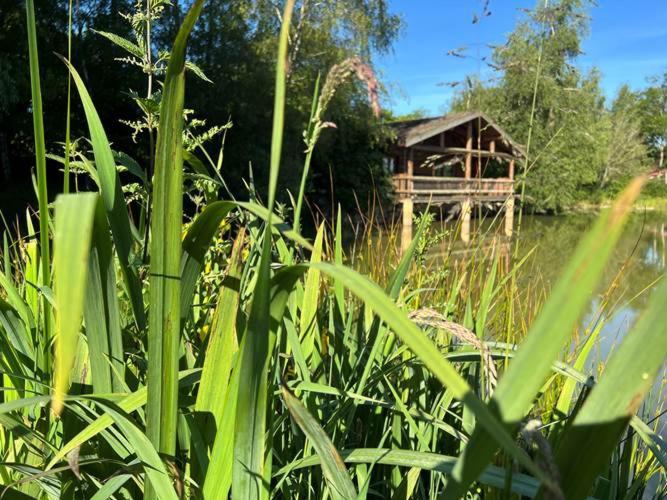 Le Domaine De La Vergnolle Roches  Номер фото